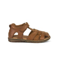 Froddo - Daros C (Brown)
