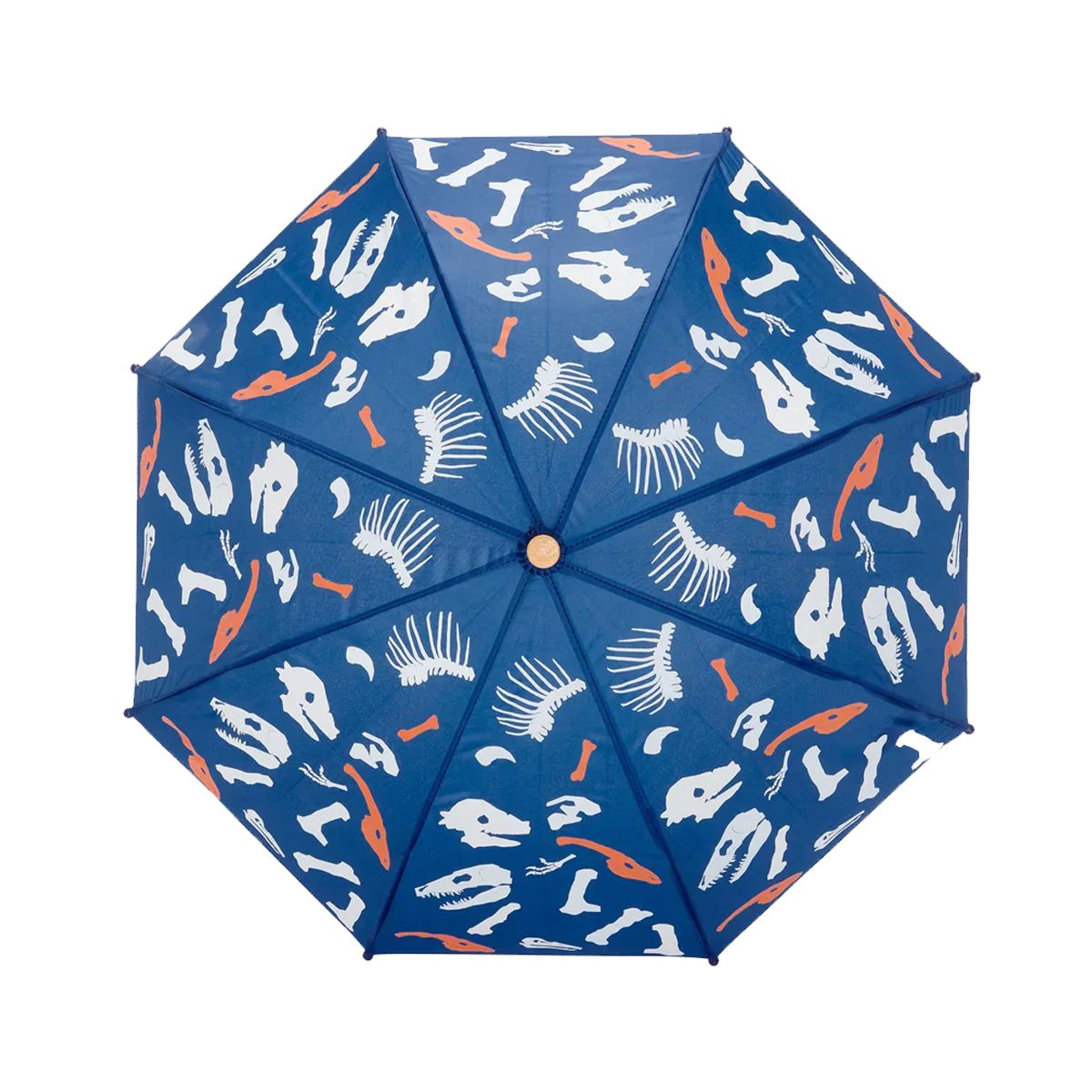 HATLEY - COLOUR CHANGING UMBRELLA | DINO FOSSILS